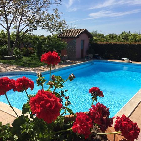 Il Giardino Segreto Bed & Breakfast Trappitello Exterior photo