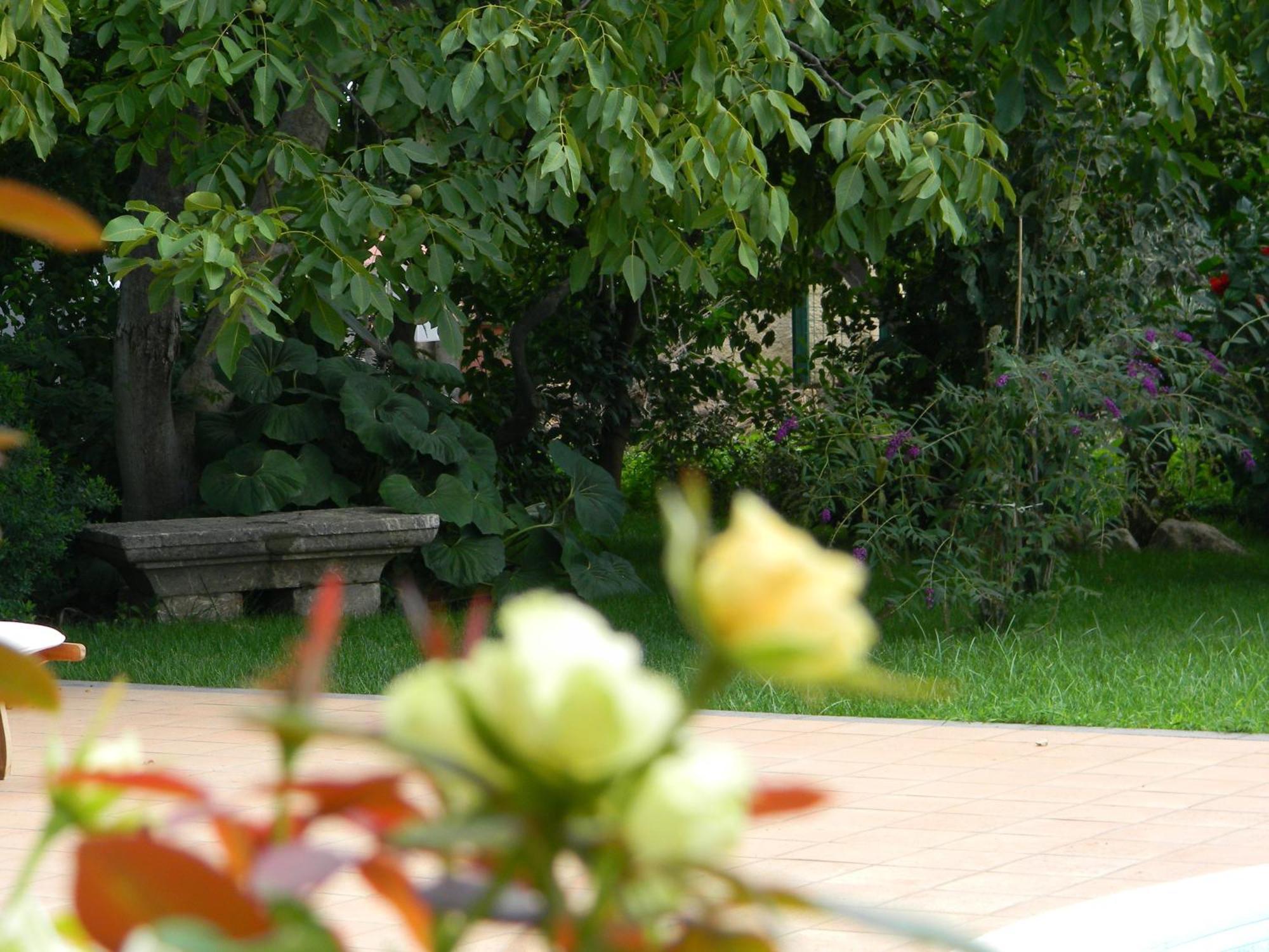 Il Giardino Segreto Bed & Breakfast Trappitello Exterior photo